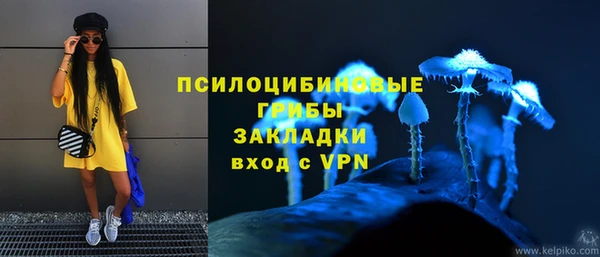 сатива Струнино