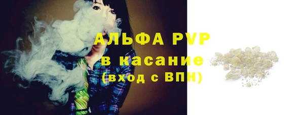 сатива Струнино