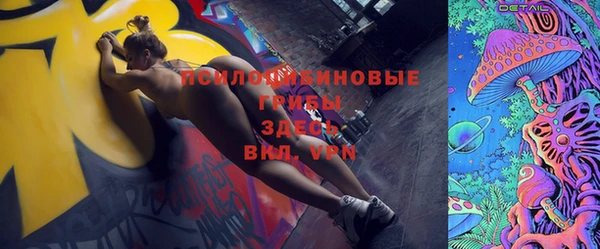 сатива Струнино