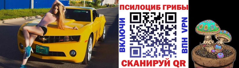 Псилоцибиновые грибы MAGIC MUSHROOMS Купить Феодосия